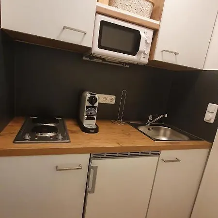 Appartements MAYR inklusive GRATIS Zugang zur ALPENTHERME Bad Hofgastein Exterior foto